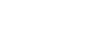 Weeneo Consulting Logo