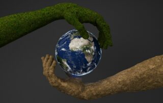 IA et environnement